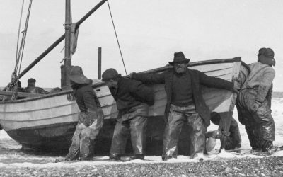 NY BOG: Kampen mod havet